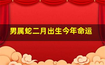 男属蛇二月出生今年命运