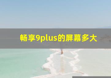 畅享9plus的屏幕多大