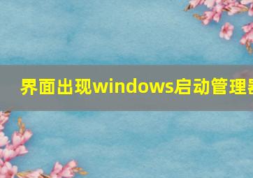 界面出现windows启动管理器