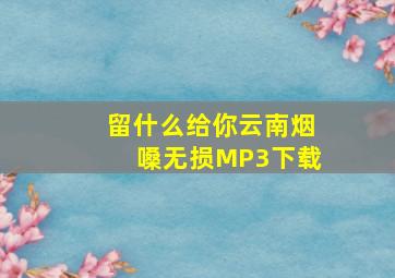 留什么给你云南烟嗓无损MP3下载