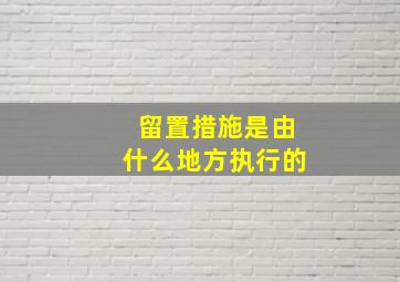 留置措施是由什么地方执行的