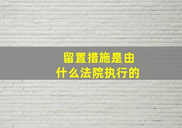 留置措施是由什么法院执行的