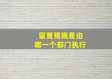 留置措施是由哪一个部门执行