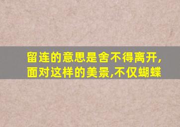 留连的意思是舍不得离开,面对这样的美景,不仅蝴蝶