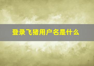 登录飞猪用户名是什么