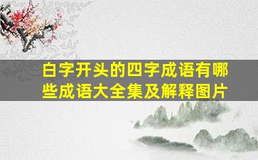 白字开头的四字成语有哪些成语大全集及解释图片