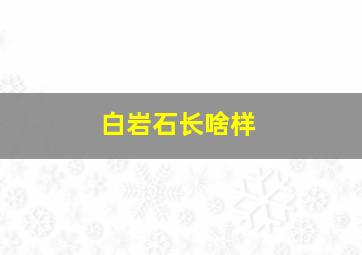 白岩石长啥样