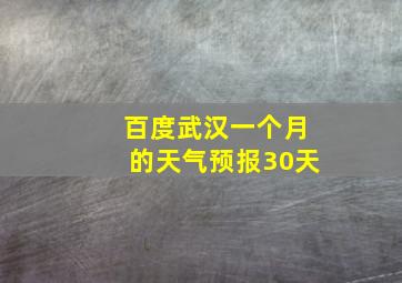 百度武汉一个月的天气预报30天