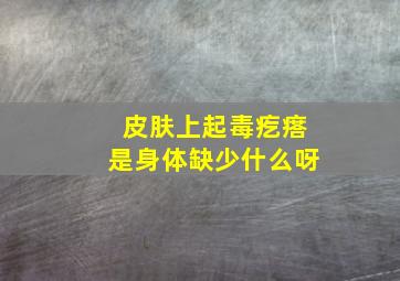 皮肤上起毒疙瘩是身体缺少什么呀