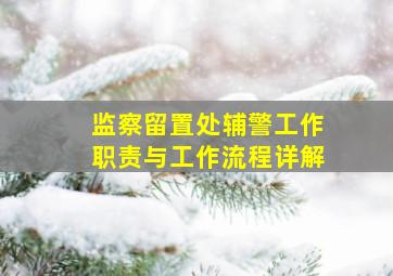 监察留置处辅警工作职责与工作流程详解