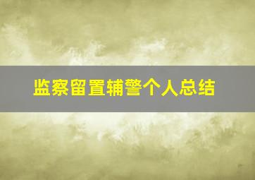 监察留置辅警个人总结