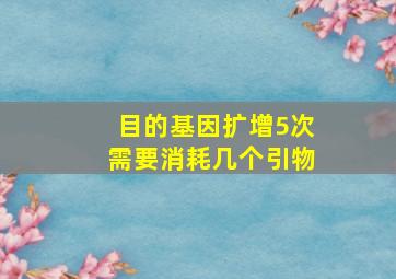 目的基因扩增5次需要消耗几个引物