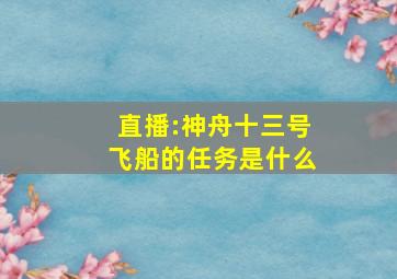 直播:神舟十三号飞船的任务是什么