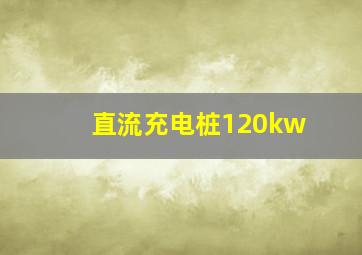 直流充电桩120kw