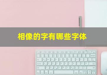 相像的字有哪些字体