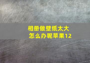 相册做壁纸太大怎么办呢苹果12