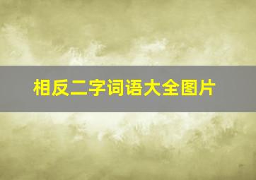 相反二字词语大全图片