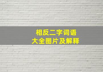 相反二字词语大全图片及解释