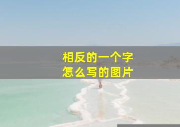 相反的一个字怎么写的图片