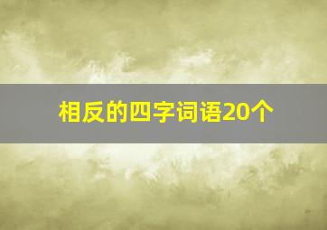 相反的四字词语20个