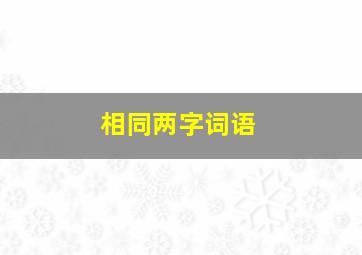 相同两字词语