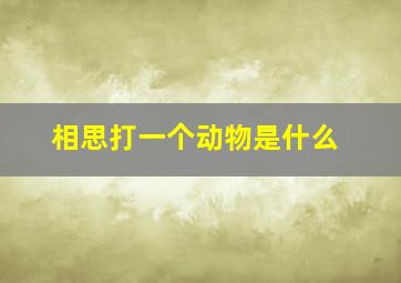 相思打一个动物是什么