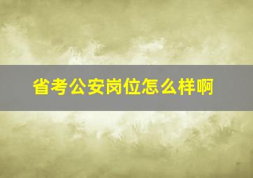 省考公安岗位怎么样啊