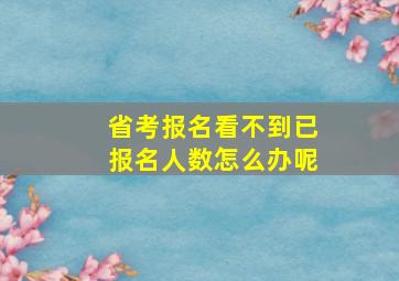 省考报名看不到已报名人数怎么办呢