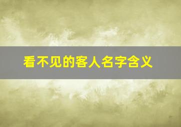 看不见的客人名字含义