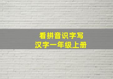 看拼音识字写汉字一年级上册