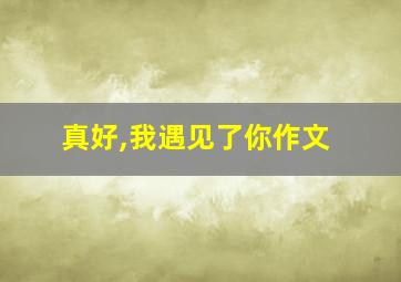 真好,我遇见了你作文