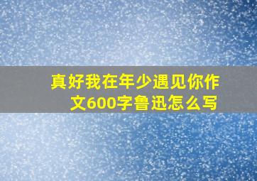 真好我在年少遇见你作文600字鲁迅怎么写