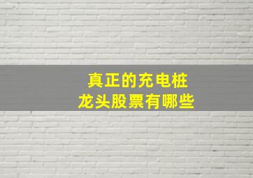 真正的充电桩龙头股票有哪些