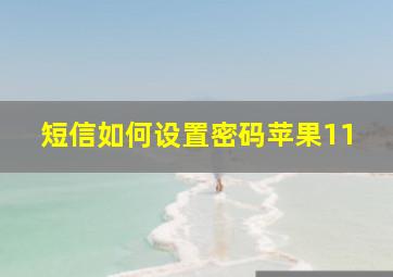 短信如何设置密码苹果11