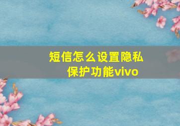 短信怎么设置隐私保护功能vivo