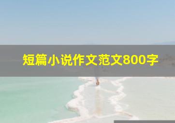 短篇小说作文范文800字