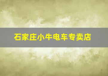 石家庄小牛电车专卖店