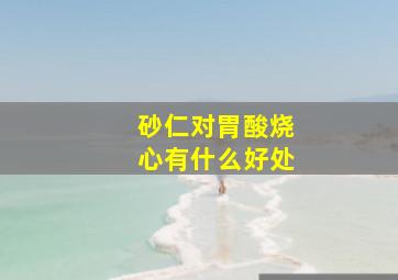 砂仁对胃酸烧心有什么好处