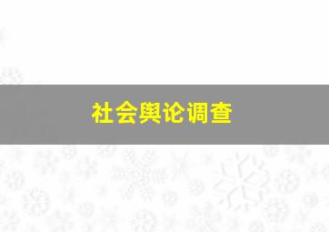 社会舆论调查