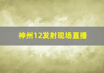 神州12发射现场直播