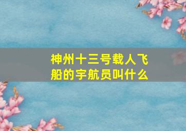 神州十三号载人飞船的宇航员叫什么