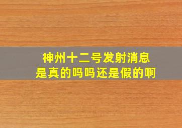 神州十二号发射消息是真的吗吗还是假的啊