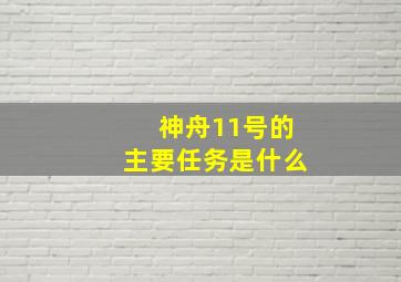 神舟11号的主要任务是什么