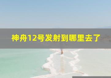 神舟12号发射到哪里去了