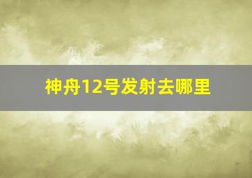 神舟12号发射去哪里