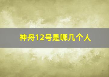 神舟12号是哪几个人