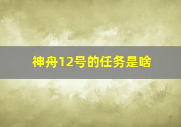 神舟12号的任务是啥