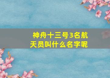 神舟十三号3名航天员叫什么名字呢