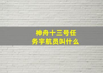 神舟十三号任务宇航员叫什么