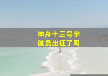 神舟十三号宇航员出征了吗